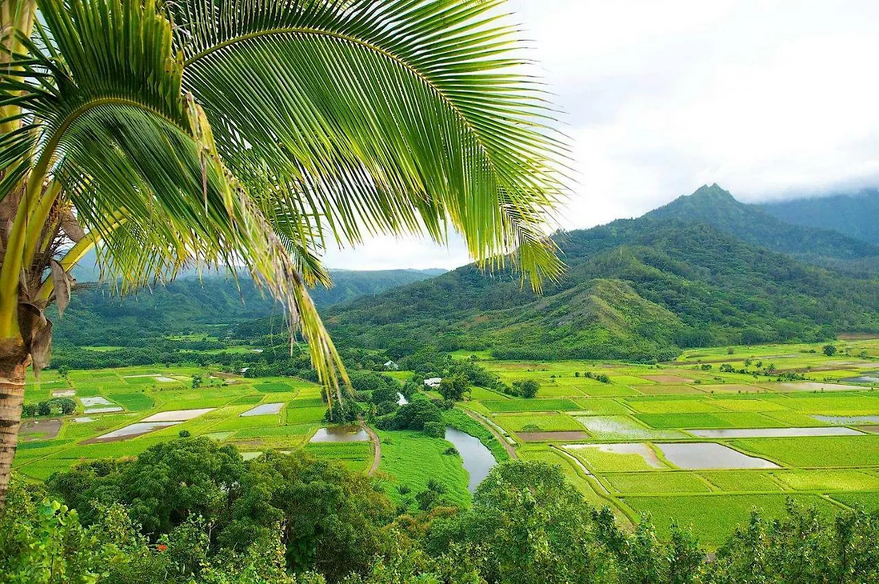 Waipouli Beach Resort Spectacular Luxury Oceanfront Condo Sleeps 8 Ac Pool Kapa'a 0*,